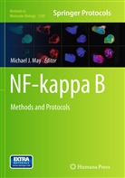 Michae J May, Michael J May, Michael J. May - NF-kappa B