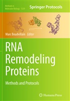 Mar Boudvillain, Marc Boudvillain - RNA Remodeling Proteins