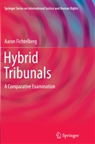 Aaron Fichtelberg, Aaron Fitchtelberg - Hybrid Tribunals