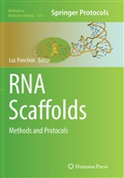 Lu Ponchon, Luc Ponchon - RNA Scaffolds