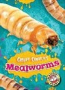 Kari Schuetz, Kari Schuetz - MEALWORMS