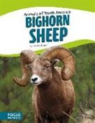 Tammy Gagne - BIGHORN SHEEP