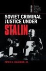 Jr. Peter H. Solomon, Peter H. Jr. Solomon, Peter H. Solomon Jr - Soviet Criminal Justice Under Stalin