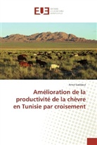 Amor Gaddour - Amélioration de la productivité de la chèvre en Tunisie par croisement
