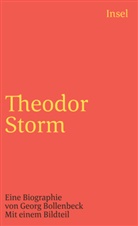 Georg Bollenbeck - Theodor Storm