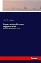 Heinrich Brugsch - Thesaurus Inscriptionum Aegyptiacarum
