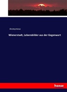 Anonymius, Anonym, Anonymous, Anonymus - Wienerstadt, Lebensbilder aus der Gegenwart