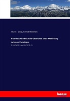Lucas E, Johan Georg, Johann Georg, Conrad Oberdieck - Illustrirtes Handbuch der Obstkunde unter Mitwirkung mehrerer Pomologen