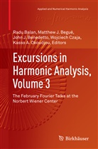 Radu Balan, Matthew Begué, Matthew J. Begué, John J. Benedetto, Wojciech Czaja, Matthe J Begué... - Excursions in Harmonic Analysis, Volume 3