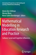 Werne Blum, Werner Blum, Maria Salett Biembengut, Gloria Ann Stillman - Mathematical Modelling in Education Research and Practice