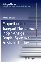Hiroaki Ishizuka - Magnetism and Transport Phenomena in Spin-Charge Coupled Systems on Frustrated Lattices
