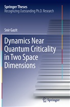 Snir Gazit - Dynamics Near Quantum Criticality in Two Space Dimensions