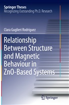 Clara Guglieri, Clara Guglieri Rodríguez - Relationship Between Structure and Magnetic Behaviour in ZnO-Based Systems