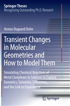 Asmus Ougaard Dohn, Asmus Ougaard Dohn - Transient Changes in Molecular Geometries and How to Model Them