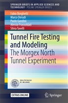 Fabi Borghetti, Fabio Borghetti, Marc Derudi, Marco Derudi, Alessio Frassoldati, Paolo Gandini... - Tunnel Fire Testing and Modeling