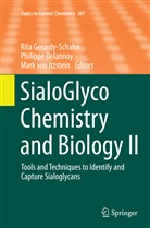 Philipp Delannoy, Philippe Delannoy, Rita Gerardy-Schahn, Mark von Itzstein, Mark von Itzstein - SialoGlyco Chemistry and Biology II
