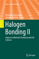 Pierangel Metrangolo, Pierangelo Metrangolo, Resnati, Resnati, Giuseppe Resnati - Halogen Bonding II