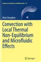 Brian Straughan - Convection with Local Thermal Non-Equilibrium and Microfluidic Effects