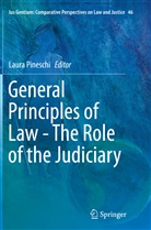 Laur Pineschi, Laura Pineschi - General Principles of Law - The Role of the Judiciary