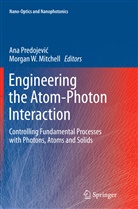 Morgan W. Mitchell, An Predojevic, Ana Predojevic, Ana Predojević, W Mitchell, W Mitchell - Engineering the Atom-Photon Interaction