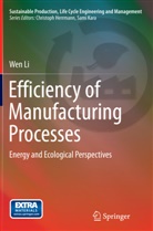 Wen Li - Efficiency of Manufacturing Processes