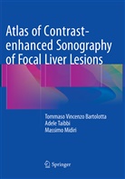 Tommaso Vincenz Bartolotta, Tommaso Vincenzo Bartolotta, Midiri, Massimo Midiri, Adel Taibbi, Adele Taibbi - Atlas of Contrast-enhanced Sonography of Focal Liver Lesions