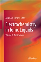 Ange A J Torriero, Angel A J Torriero, Angel A. J. Torriero - Electrochemistry in Ionic Liquids