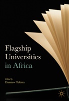 Damte Teferra, Damtew Teferra - Flagship Universities in Africa