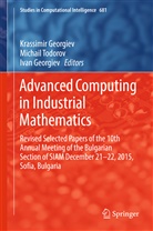 Ivan Georgiev, Krassimir Georgiev, Michai Todorov, Michail Todorov - Advanced Computing in Industrial Mathematics
