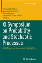 Jua Carlos Pardo, Juan Carlos Pardo, Ramsés H. Mena, Juan Carlos Pardo, Víctor Rivero, Víctor Rivero et al... - XI Symposium on Probability and Stochastic Processes
