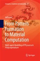 Jeff Jones - From Pattern Formation to Material Computation