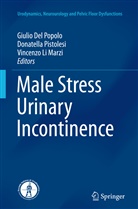 Giulio Del Popolo, Vincenzo Li Marzi, Donatell Pistolesi, Donatella Pistolesi - Male Stress Urinary Incontinence
