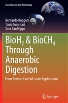 Bernard Ruggeri, Bernardo Ruggeri, Sara Sanfilippo, Toni Tommasi, Tonia Tommasi - BioH2 & BioCH4 Through Anaerobic Digestion