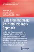 Michael Klaas, Stefa Pischinger, Stefan Pischinger, Wolfgang Schröder - Fuels From Biomass: An Interdisciplinary Approach