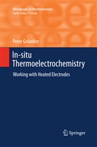 Peter Gründler - In-situ Thermoelectrochemistry