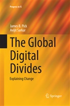 James Pick, James B Pick, James B. Pick, Avijit Sarkar - The Global Digital Divides