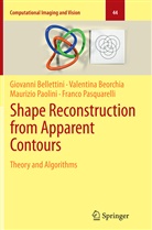 Giovann Bellettini, Giovanni Bellettini, Valentin Beorchia, Valentina Beorchia, Paolini, Maurizio Paolini... - Shape Reconstruction from Apparent Contours