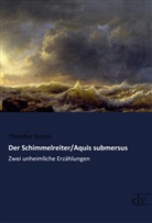 Theodor Storm - Der Schimmelreiter / Aquis submersus
