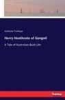 Anthony Trollope - Harry Heathcote of Gangoil