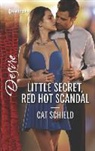 Cat Schield - Little Secret, Red Hot Scandal