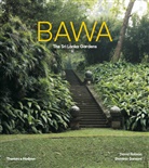 David Robson, Dominic Sansoni, Dominic Sansoni - Bawa