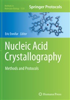 Eri Ennifar, Eric Ennifar - Nucleic Acid Crystallography
