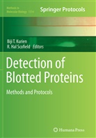 Hal Scofield, Hal Scofield, Biji T. Kurien, R. Hal Scofield, Bij T Kurien, Biji T Kurien - Detection of Blotted Proteins