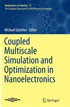 Michae Günther, Michael Günther - Coupled Multiscale Simulation and Optimization in Nanoelectronics