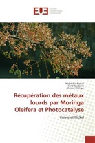 Abdel-Ha Benali, Abdel-Hai Benali, Ahmed Chergui, Fari Madjene, Farid Madjene - Récupération des métaux lourds par Moringa Oleifera et Photocatalyse
