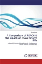Ágnes Botos - A Comparison of REACH & the Bipartisan TSCA Reform Bills