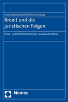 Christia Baldus, Christian Baldus, Christia Baldus (Prof. Dr.), Malte Kramme, Martin Schmidt-Kessel, Schmidt-Kessel (Prof - Brexit und die juristischen Folgen