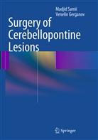 Venelin Gerganov, Madji Samii, Madjid Samii - Surgery of Cerebellopontine Lesions