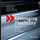 Hanj Arms, Hanjo Arms, Christian Danner, Joche Gerber, Jochen Gerber, Mathias Wiecher... - Leveraging Flexibility