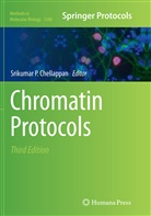 Srikumar P. Chellappan, Srikuma P Chellappan, Srikumar P Chellappan - Chromatin Protocols